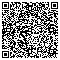 QR code with Shell contacts