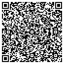 QR code with Public Image contacts