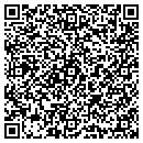 QR code with Primary Element contacts