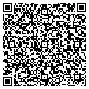 QR code with Pumps & Equipment Inc contacts