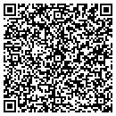 QR code with Premier Gutters contacts