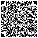 QR code with Precision Nonmetallics contacts