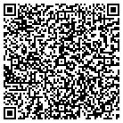 QR code with Badger State Distributing contacts