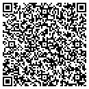 QR code with Pulse EFT Assn contacts