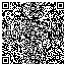 QR code with Blue Meadow Stables contacts