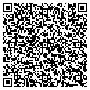 QR code with Public Storage contacts