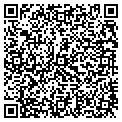QR code with T Gs contacts