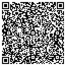 QR code with Precision Nerve contacts