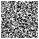 QR code with Print This Too contacts