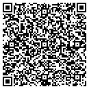 QR code with Cobb Micro Systems contacts