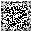 QR code with Pro Seal Coating contacts