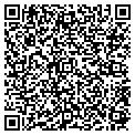 QR code with MTW Inc contacts