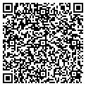 QR code with McWfd contacts