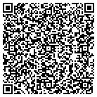 QR code with Banmar Construction LLC contacts