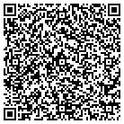 QR code with Citicapital Coml Lsg Corp contacts
