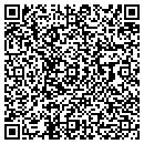QR code with Pyramax Bank contacts