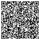 QR code with Pulse Metavante Dr contacts