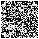QR code with C J's Flowers contacts