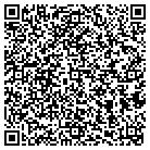 QR code with Badger Wash-Stoughton contacts