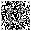 QR code with Pro Form LLC contacts
