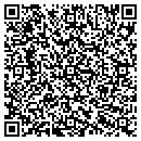 QR code with Cytec Systems Usa Inc contacts