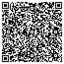 QR code with Customs Unlimited Inc contacts