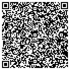 QR code with Badger Siding & Windows contacts