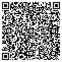 QR code with WMGN contacts