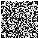 QR code with Cadott Public Library contacts