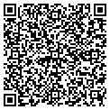 QR code with Tulips contacts