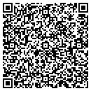 QR code with Protect-All contacts