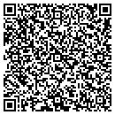 QR code with Pyramid Associates contacts