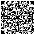QR code with Pace contacts