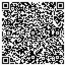 QR code with Providing Solutions contacts