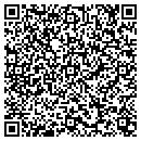 QR code with Blue Goose Tours Inc contacts