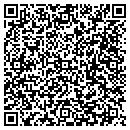 QR code with Bad River Fish Hatchery contacts