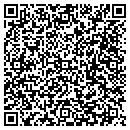 QR code with Bad River Fish Hatchery contacts