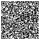 QR code with Steiner Farm contacts