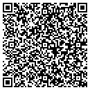 QR code with Projection Systems Inc contacts