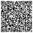 QR code with Carducci & Assoc Inc contacts