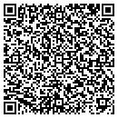 QR code with Practical Investments contacts