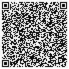 QR code with Pulse Communications Inc contacts
