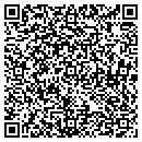 QR code with Protective Systems contacts