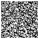 QR code with Pure Energy Productions contacts
