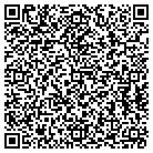 QR code with Ballweg Chevrolet Inc contacts