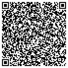 QR code with Chippewa Valley Satellite contacts