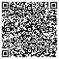 QR code with Alltel contacts