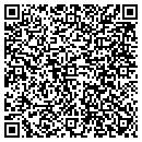 QR code with C M V Enterprises S C contacts