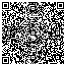 QR code with Cfl Financial Group contacts