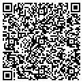 QR code with Signline contacts